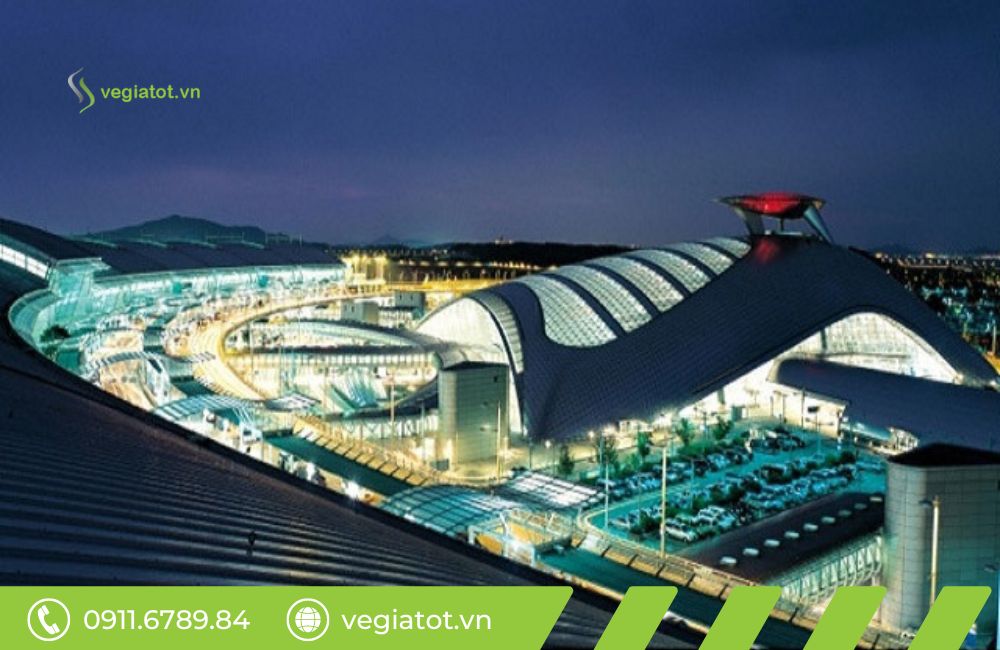 Sân bay quốc tế Daegu (TAE) hiện là trung tâm hoạt động của nhiều hãng hàng không lớn 
